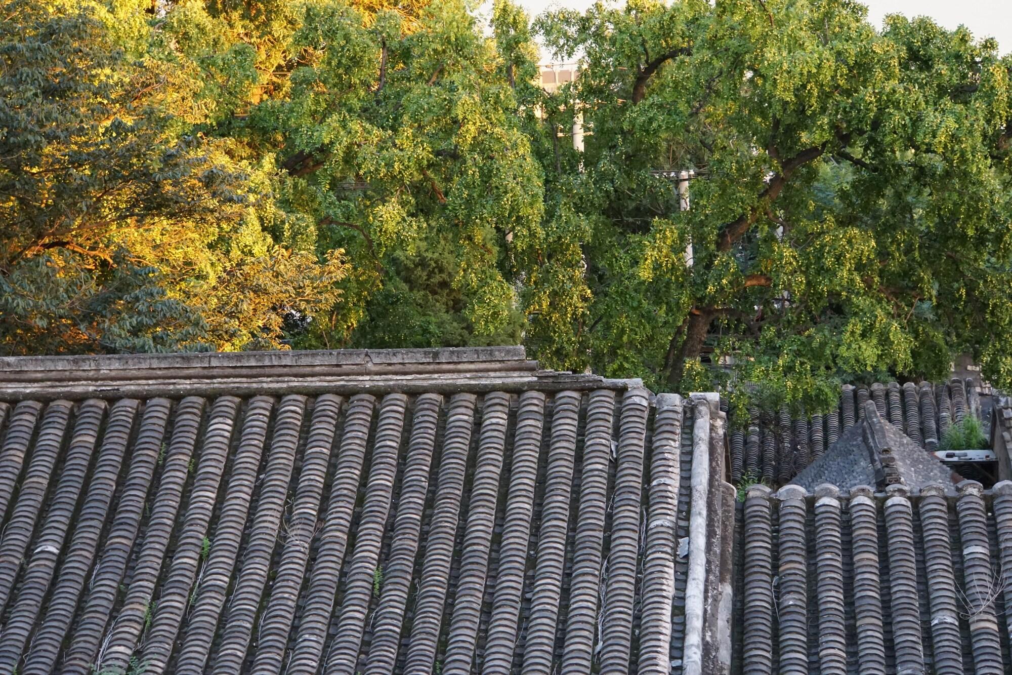 Comodidades del Alojamiento Fly By Knight Courtyard Hotel