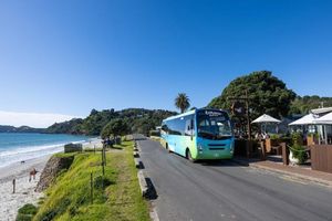 Actividad - Waiheke Island Hop-On Hop-Off Explorer Bus from Auckland (Small Group Tour) - Reserve Ferry Return