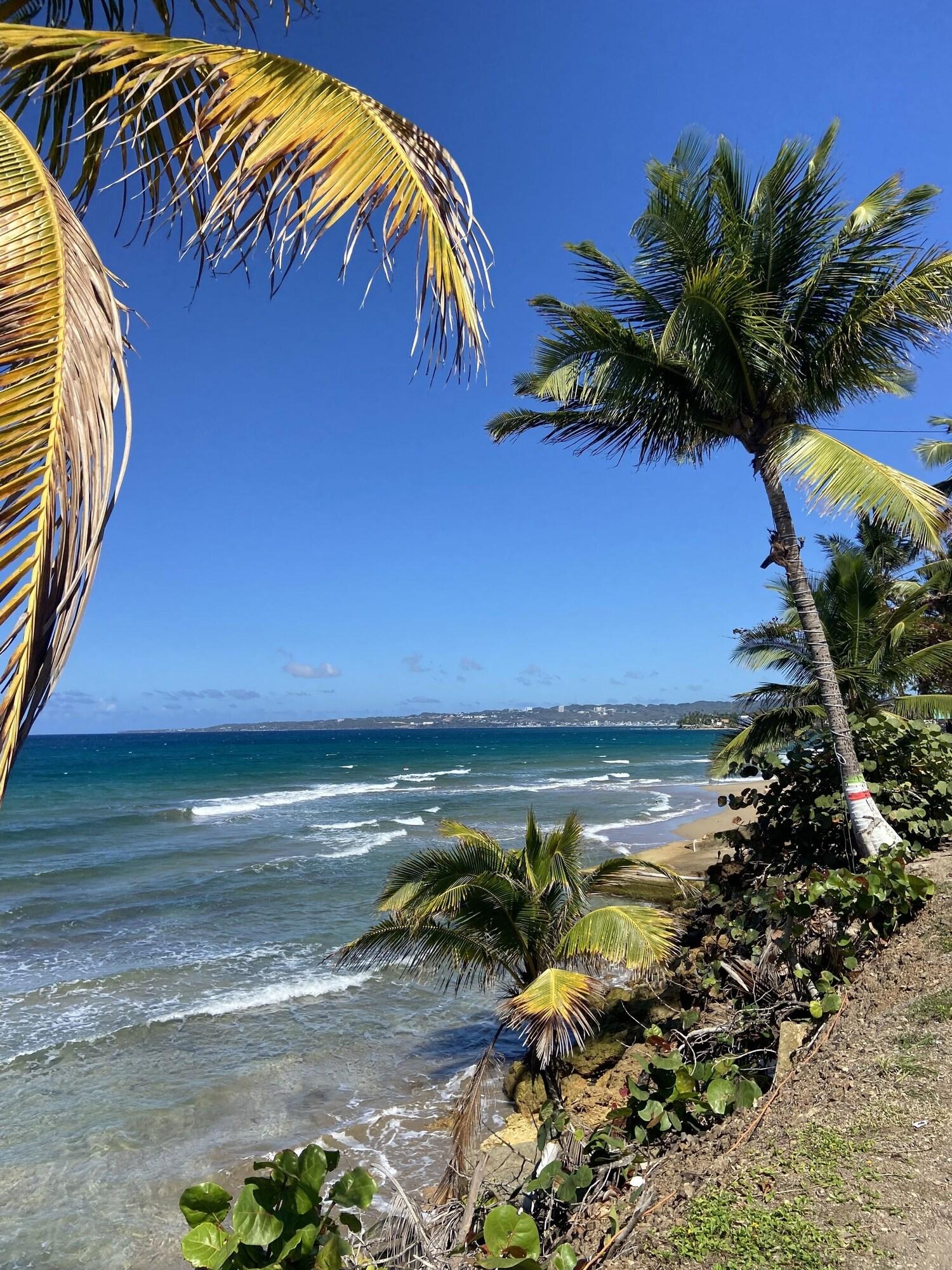 Playa Mares Guesthouse