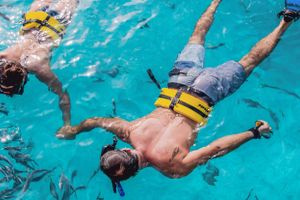 Actividad - Excursión al Reef Explorer