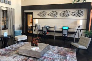 Alquiler Temporario - Miami VIP Corporate House