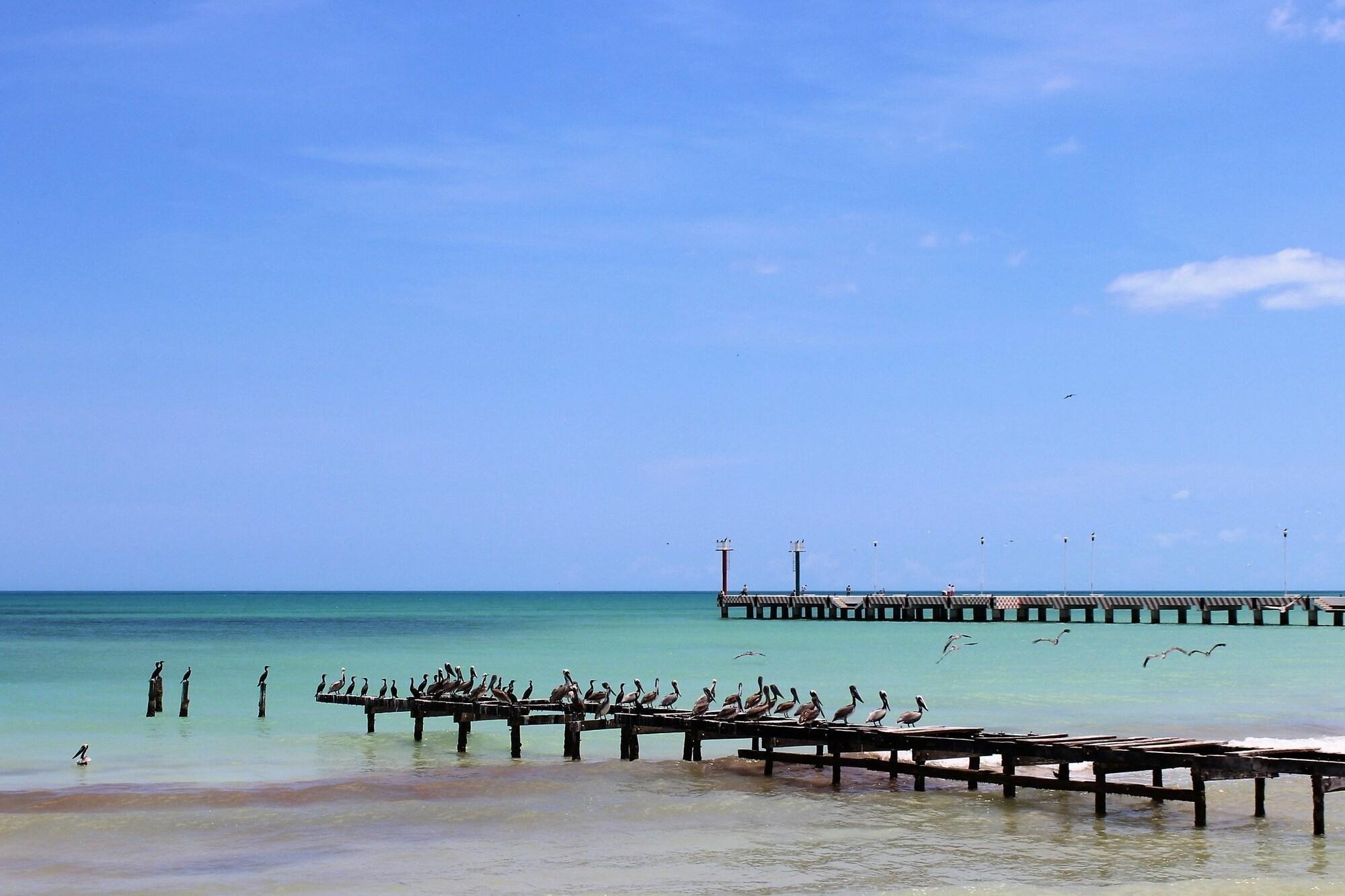 Varios Cabañas El Cuyo