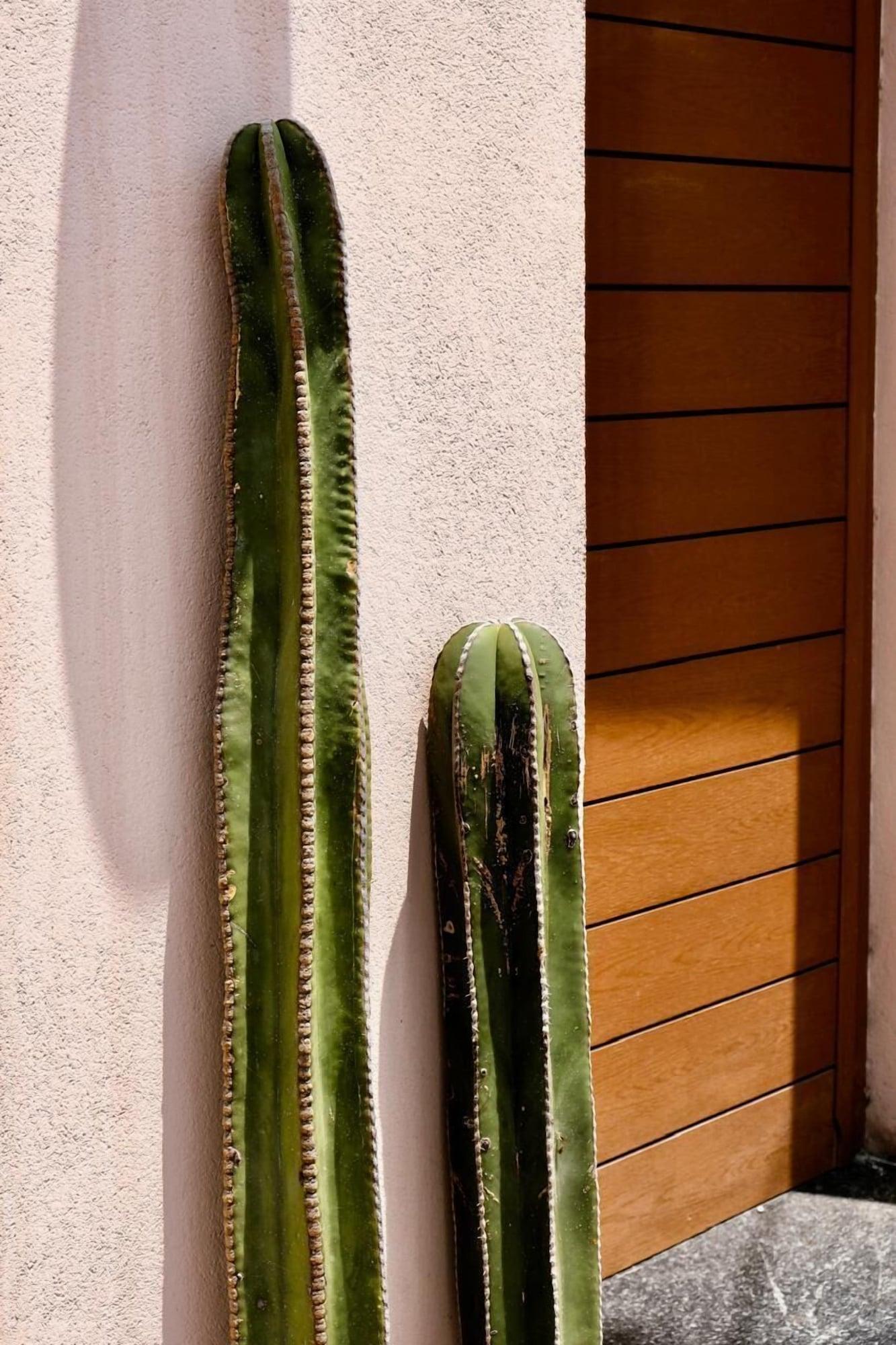 Vista Exterior Casa Marina