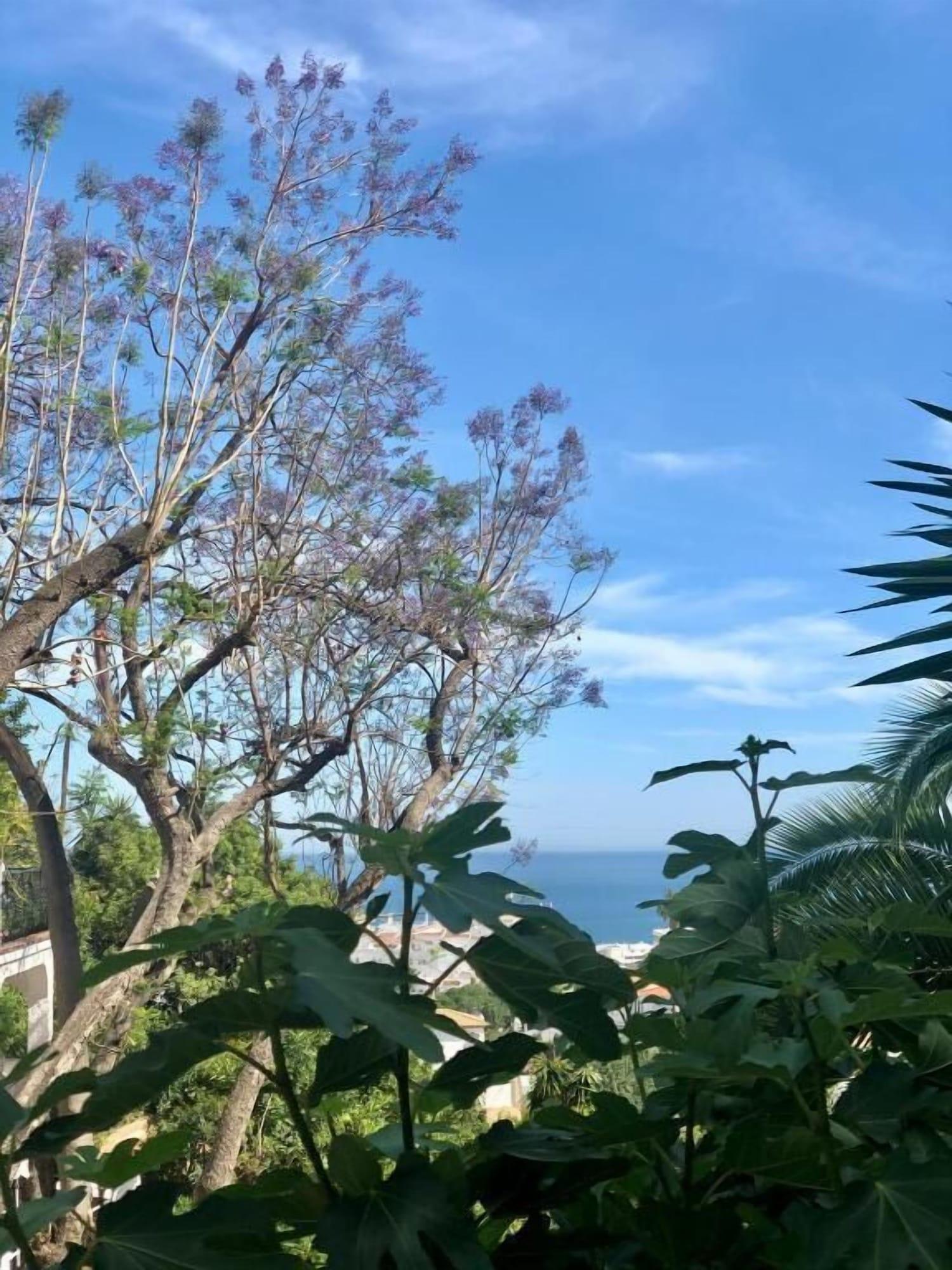Comodidades del Alojamiento Boutique Hotel Las Islas - Adults Only