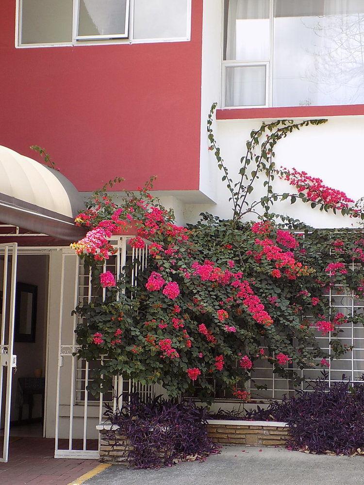 Vista Exterior Hotel Le Voltaire