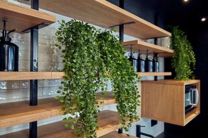 Alojamiento - Gr8 Hotel Oosterhout