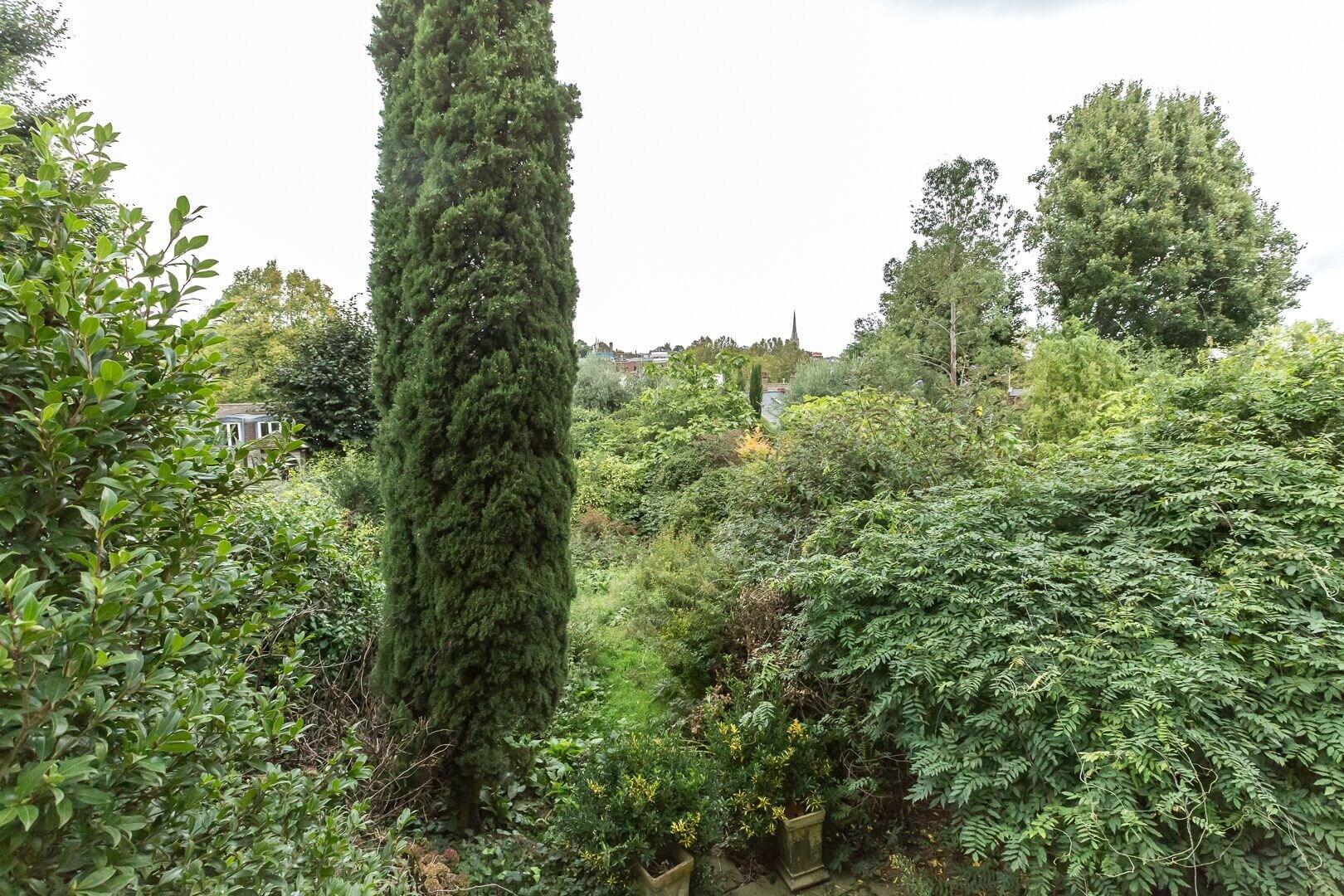 Comodidades del Alojamiento Spacious 1BR Period Apartment Hampstead