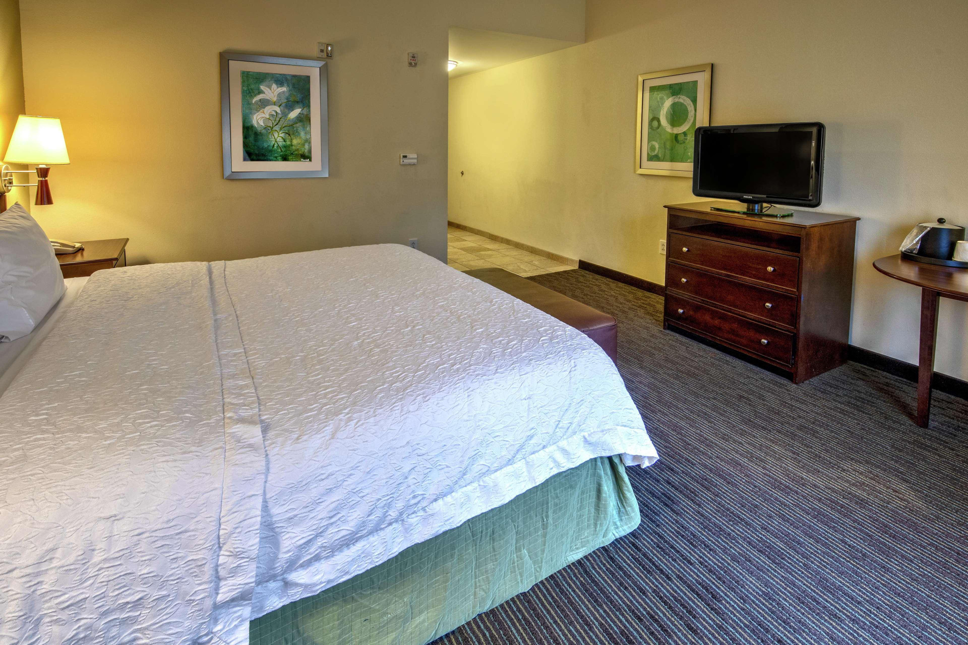 Instalaciones Recreativas Hampton Inn & Suites Birmingham/280 East-Eagle Point