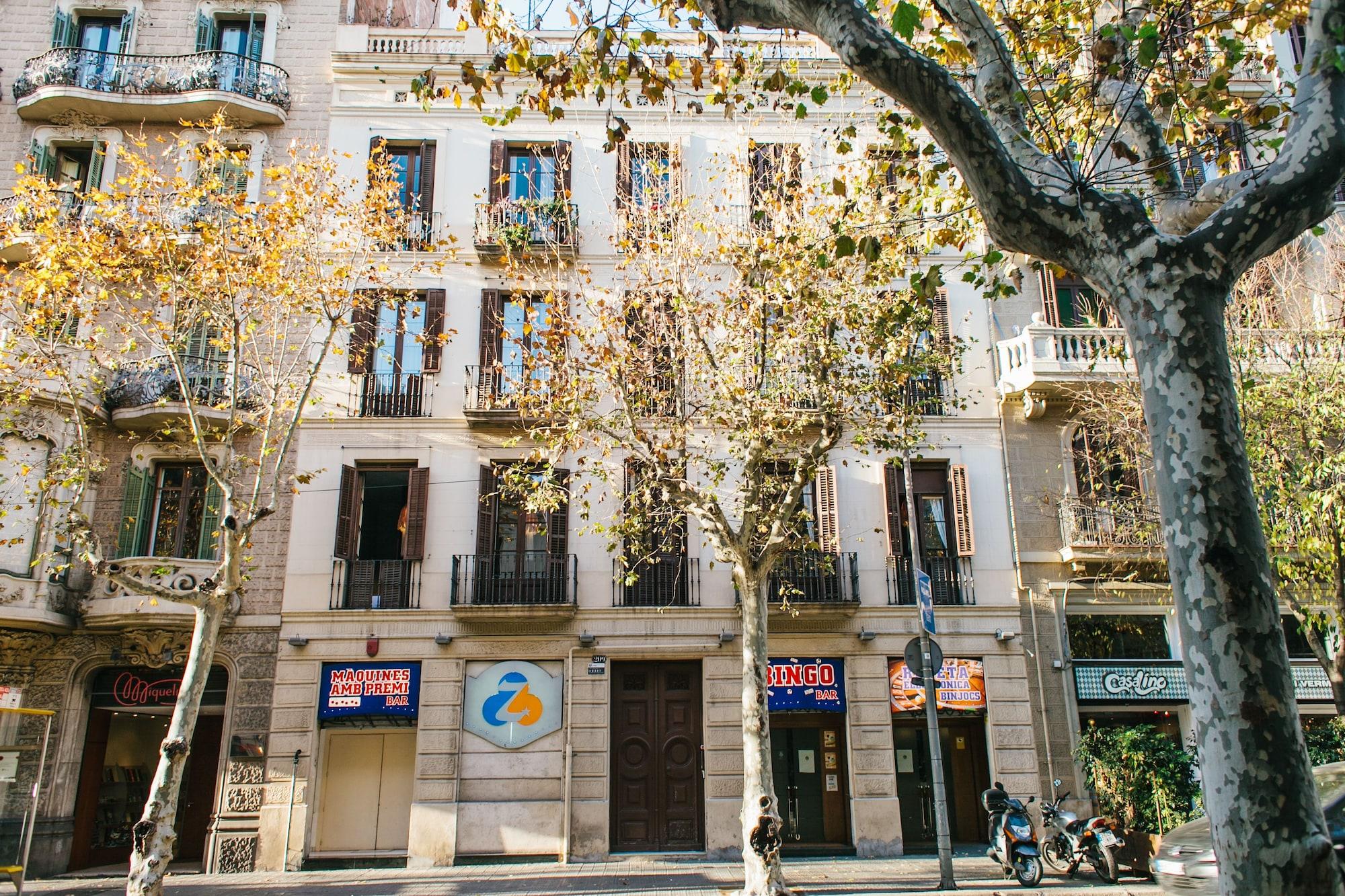 Vista Exterior ZOOROOMS Boutique GuestHouse