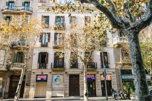 Alojamiento - ZOOROOMS Boutique GuestHouse