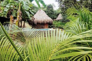 Alquiler Vacacional - Colibri Parque Tayrona