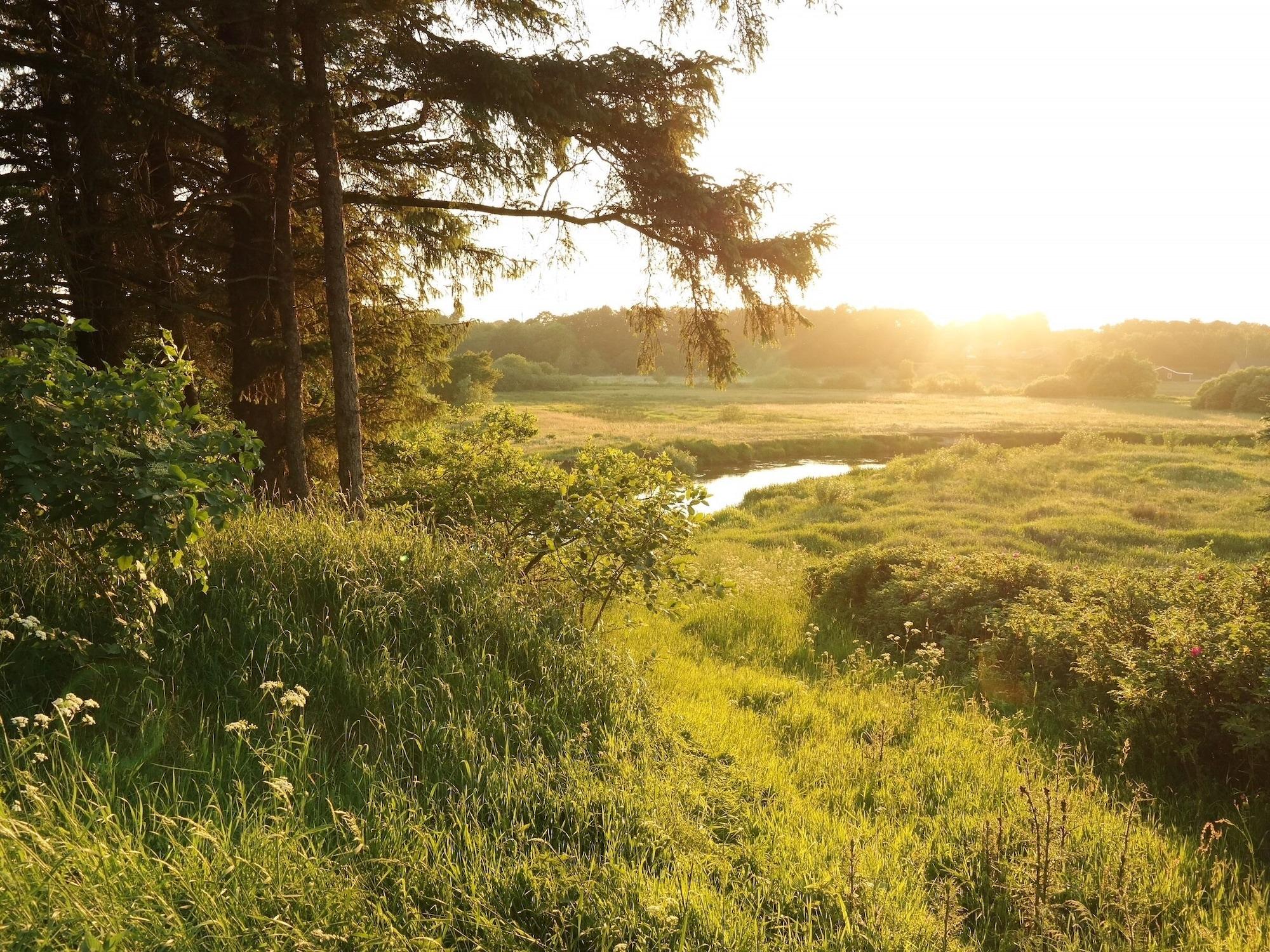 Varios Egebjerggaard Bed & Breakfast