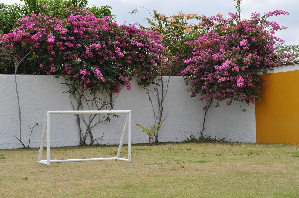 Instalaciones Recreativas Hotel Torino