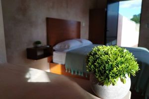 Aluguel por temporada - Hotelito Yum Kaax