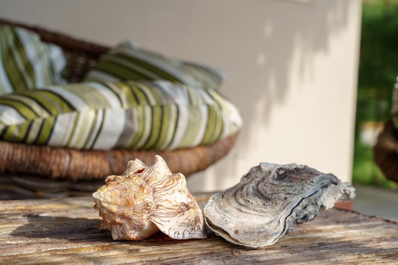 Vista Exterior Room-spacious Suit Tarifa