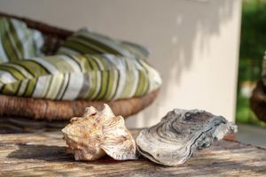 Alojamiento - Room-spacious Suit Tarifa