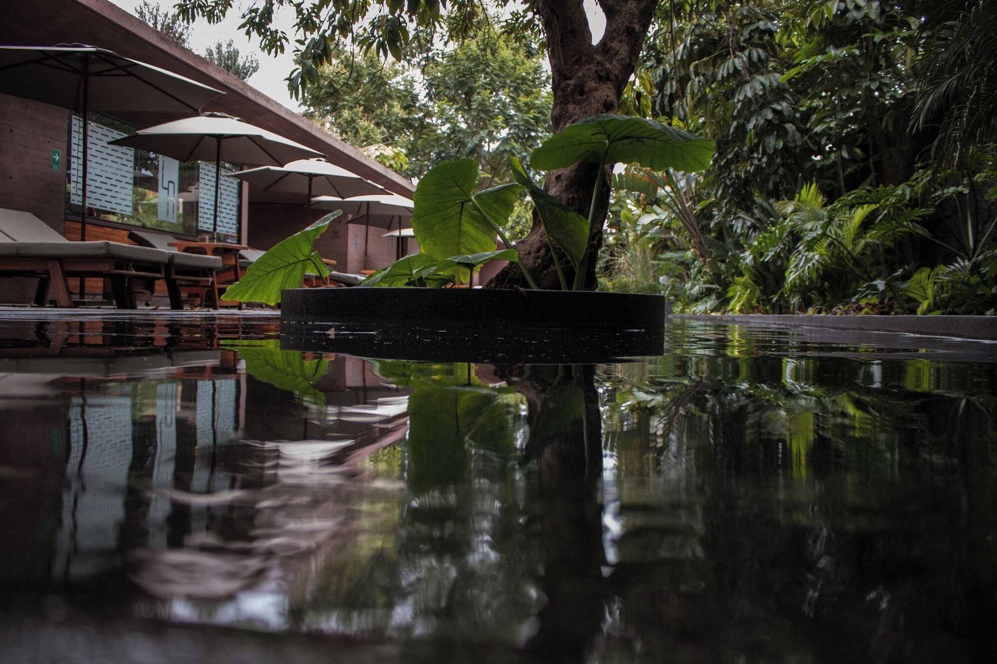 Vista Piscina Hotel Boutique Casa de Agua