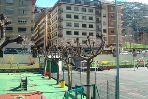 Alojamiento - Hotel Folch