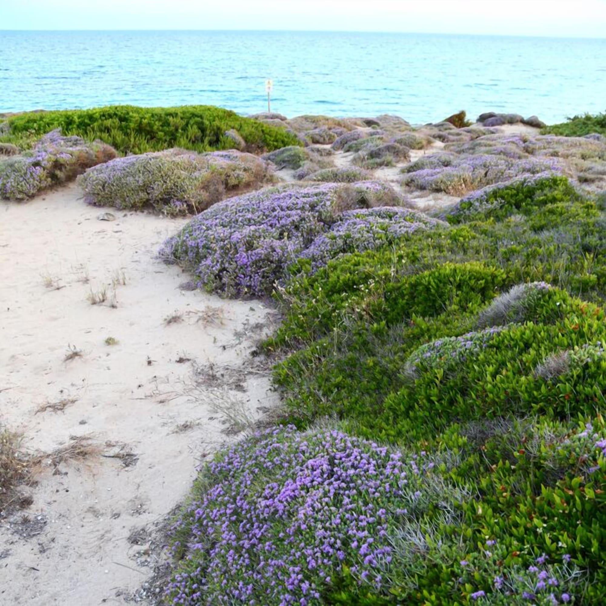 Playa Bed & Breakfast Le Vele
