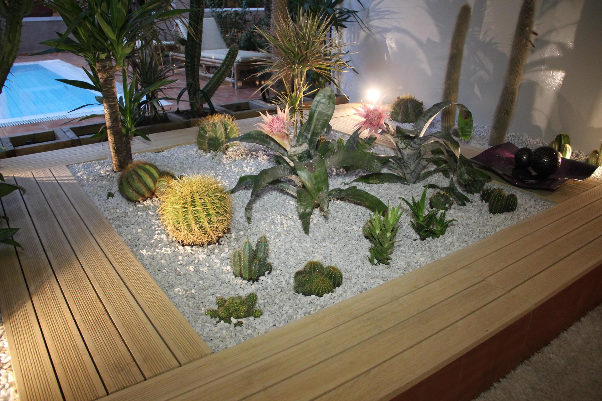 Bar/Salón Casablanca Suites & SPA