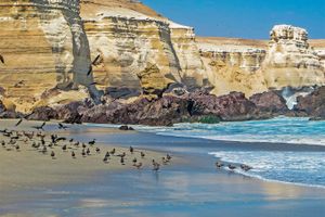 Paquete - Paquetes a Antofagasta