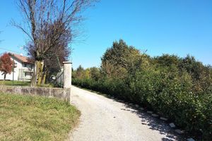 Alojamiento - B&B Elena