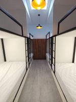 Alojamiento - Hostal The Nest By Ulivin