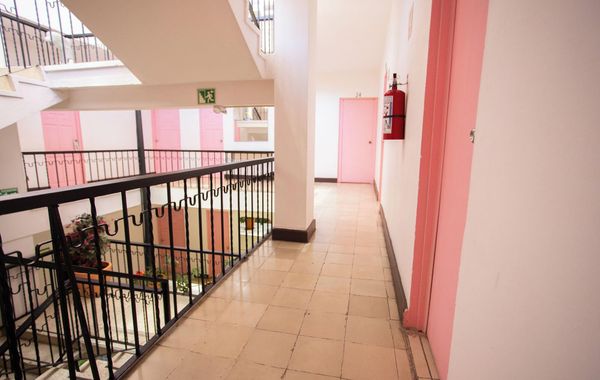 Hotel Tropicus Boutique - Hoteles 3 estrellas en Puerto Vallarta, México