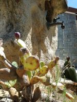 Alquiler Vacacional - Colonna Residence