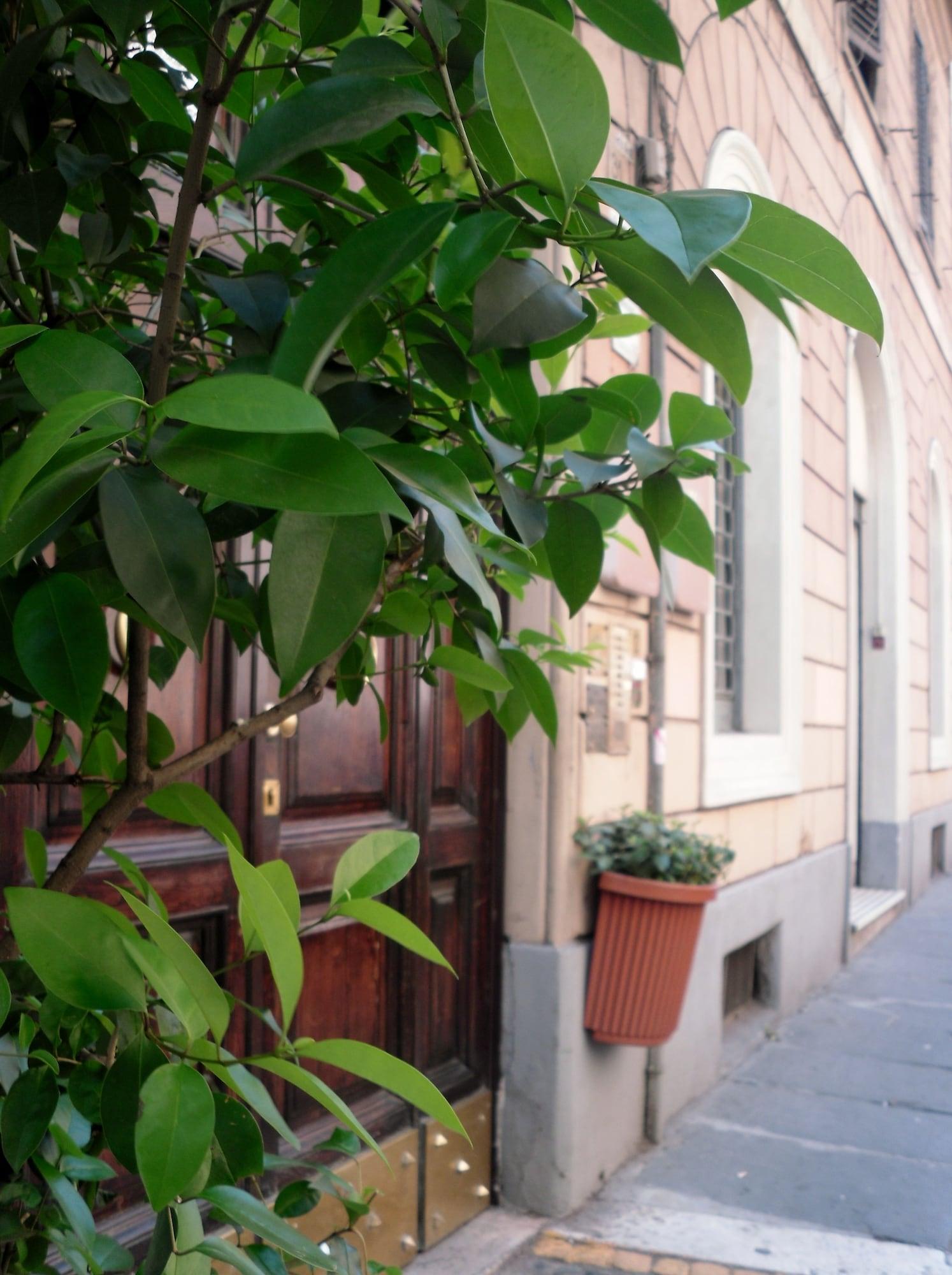 Exterior View Castelfidardo