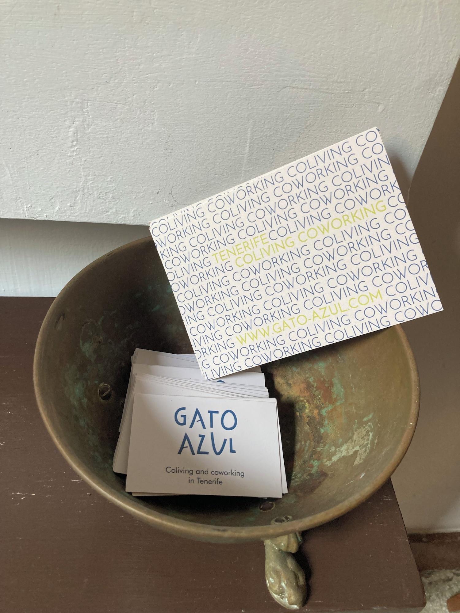 Varios Gato Azul Coliving