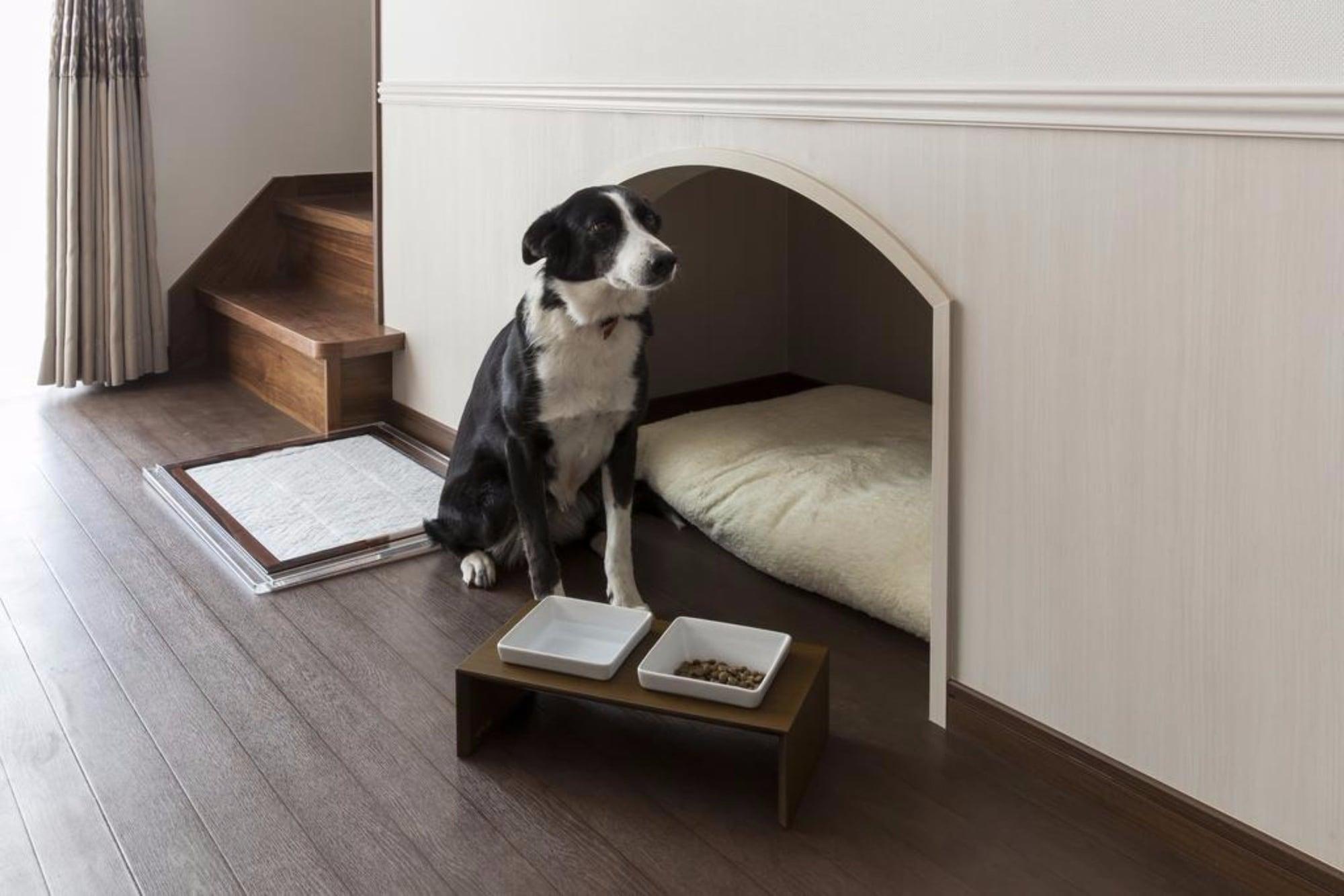 Gimnasio Koyaru-no-sato Doggys Island