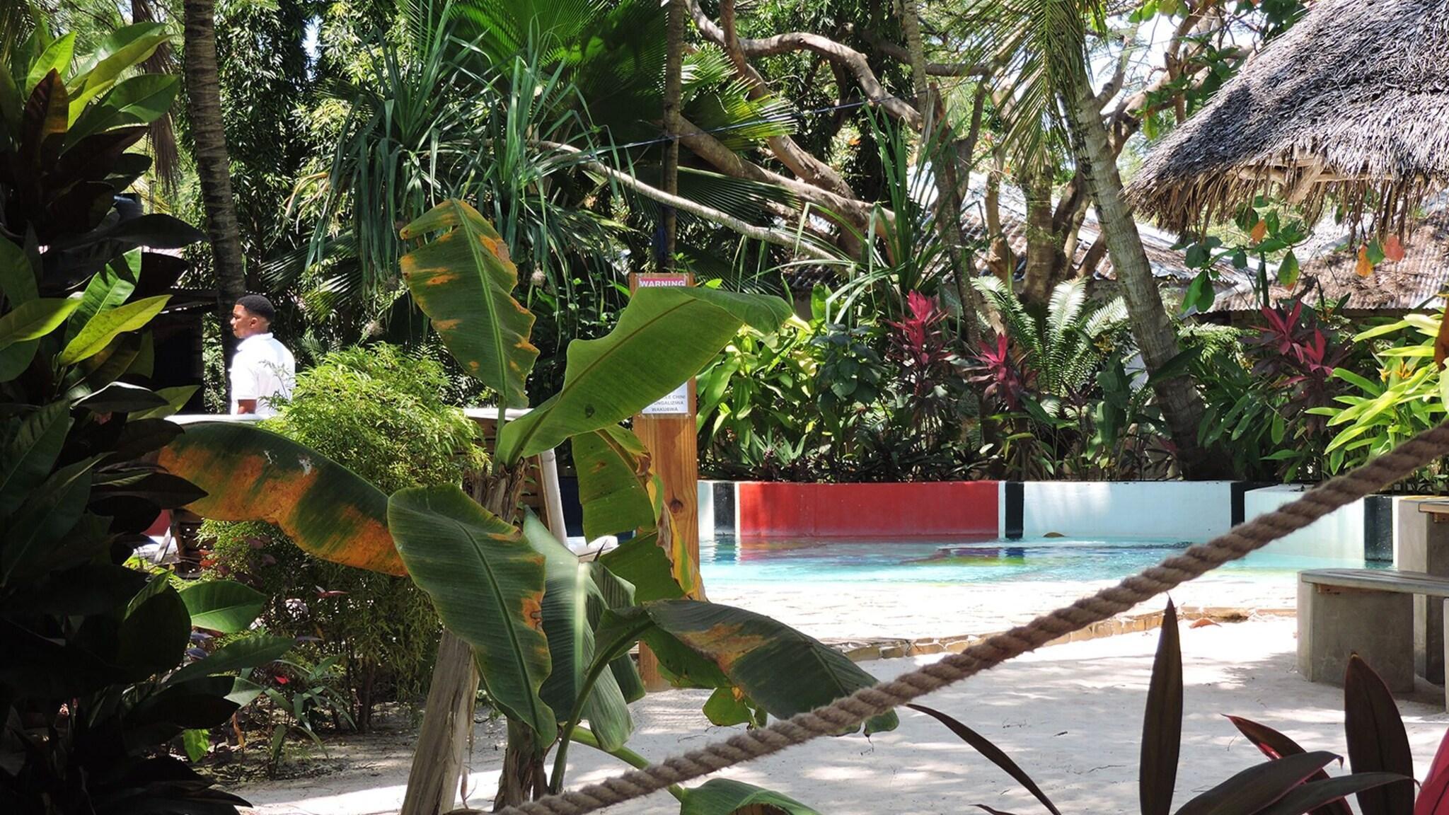 Vista Piscina Paje By Night