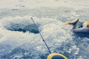 Actividad - Paseo con raquetas de nieve + Pesca en el hielo