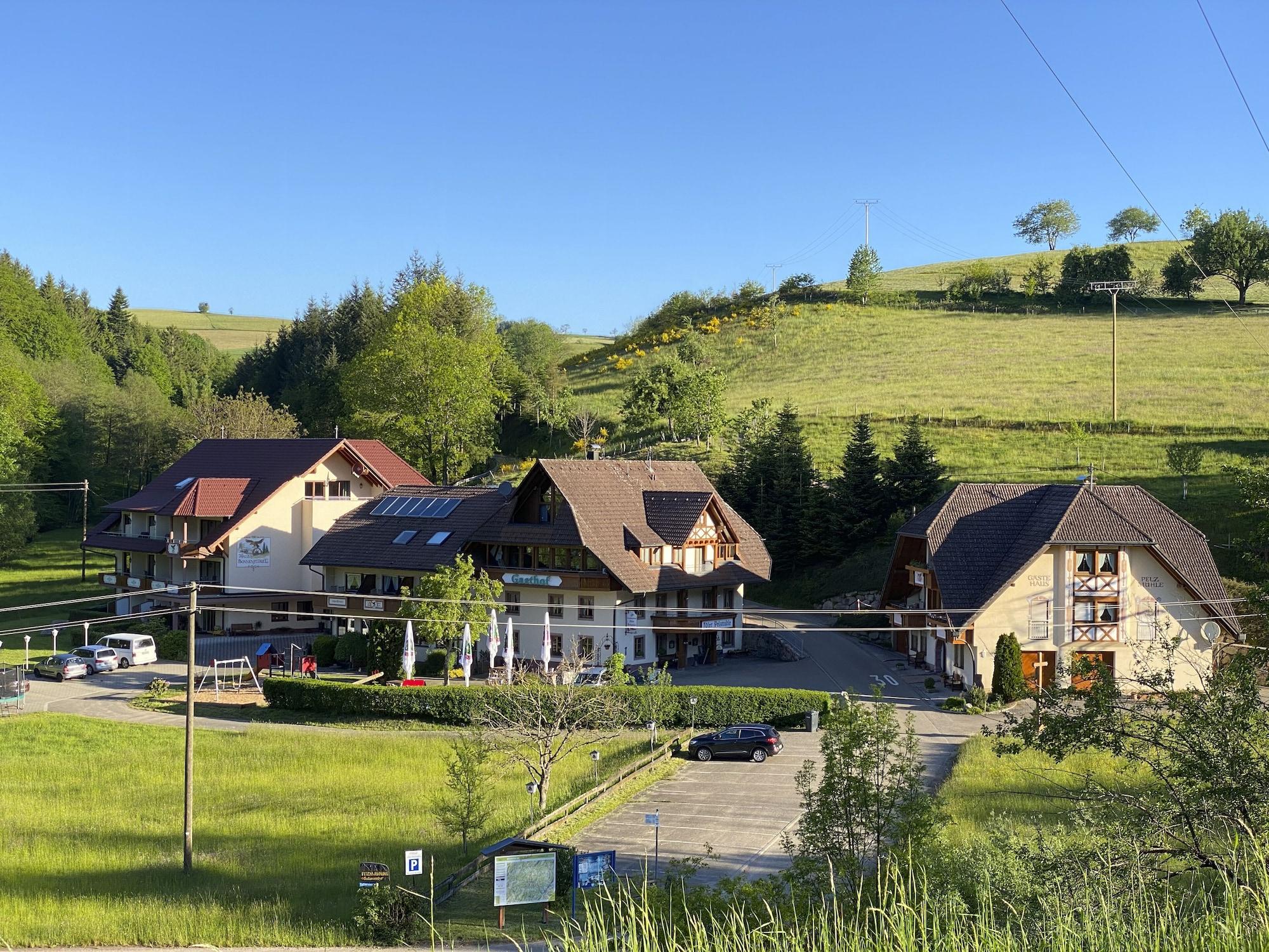 Vista Exterior Landgasthof Adler-Pelzmühle