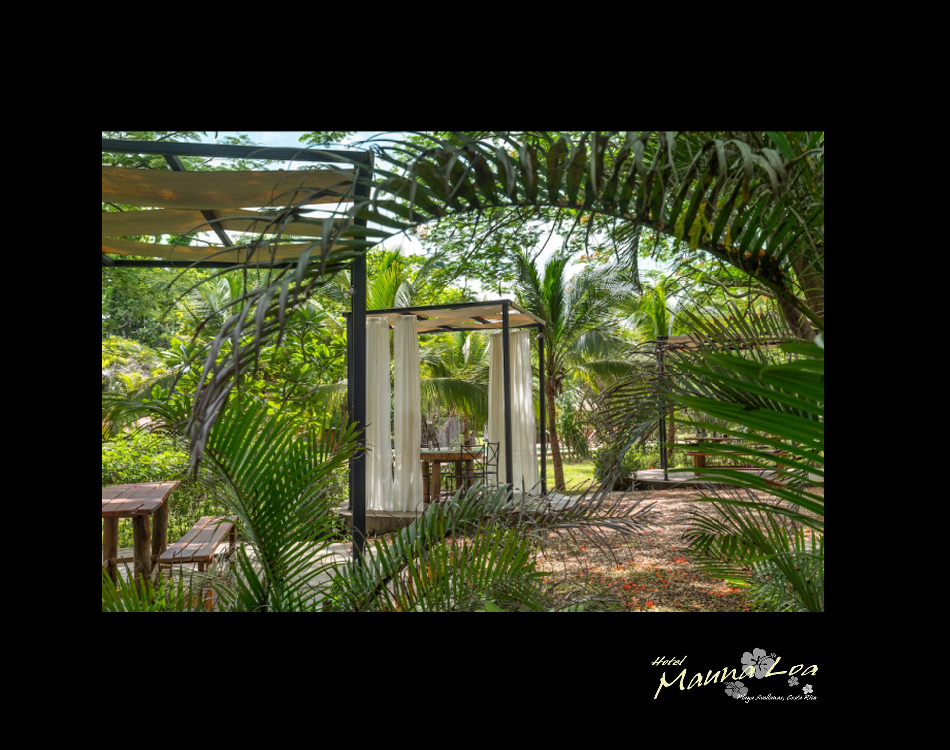 Restaurant Hotel Mauna Loa