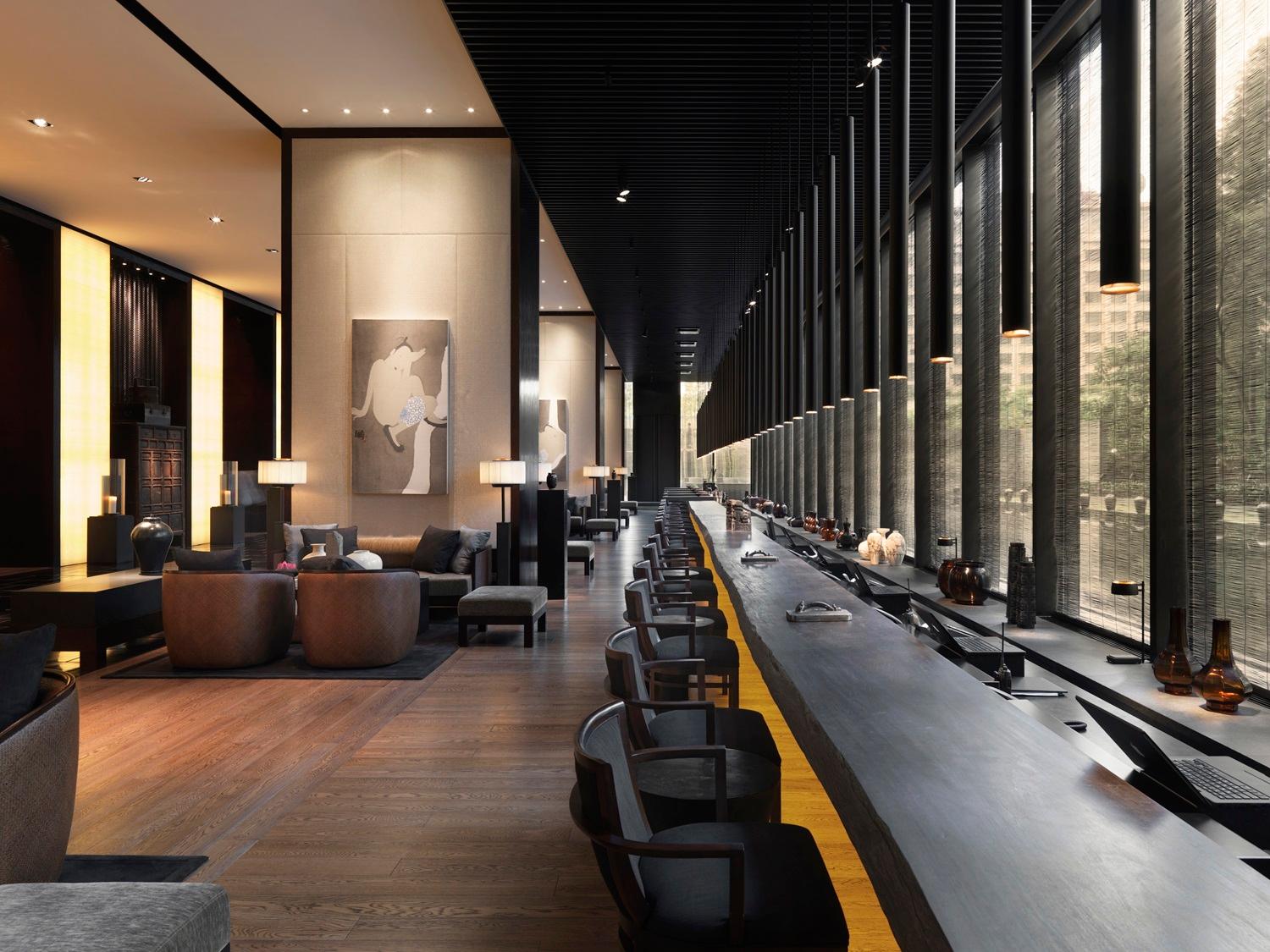 Vista Lobby The Puli