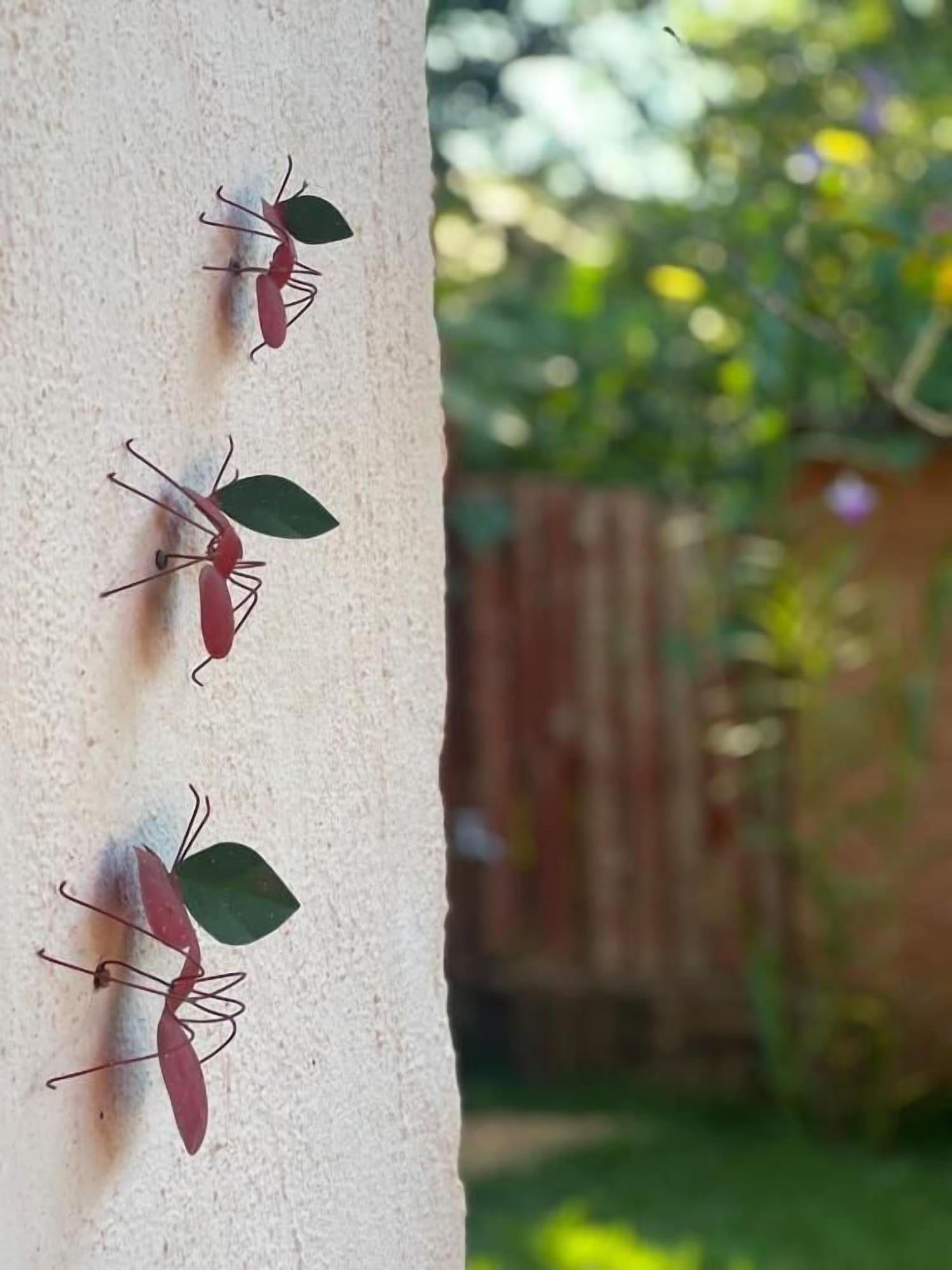 Varios Pousada Chalés na Roça