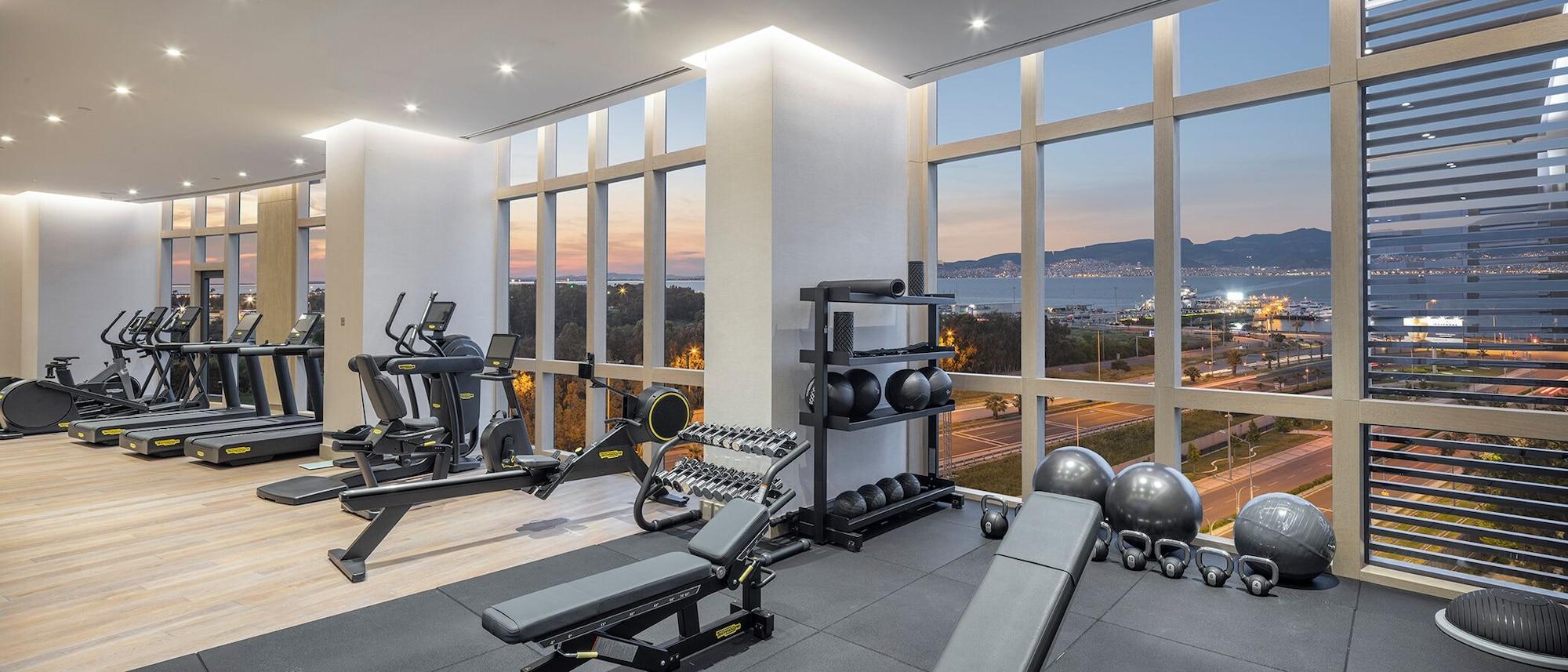 Gimnasio Grand Hyatt Izmir Istinyepark