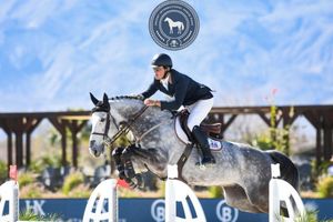 Alquiler Vacacional - Equestrian Luxury: 5BR Oasis Minutes from Desert Horse Park & Thermal Club!