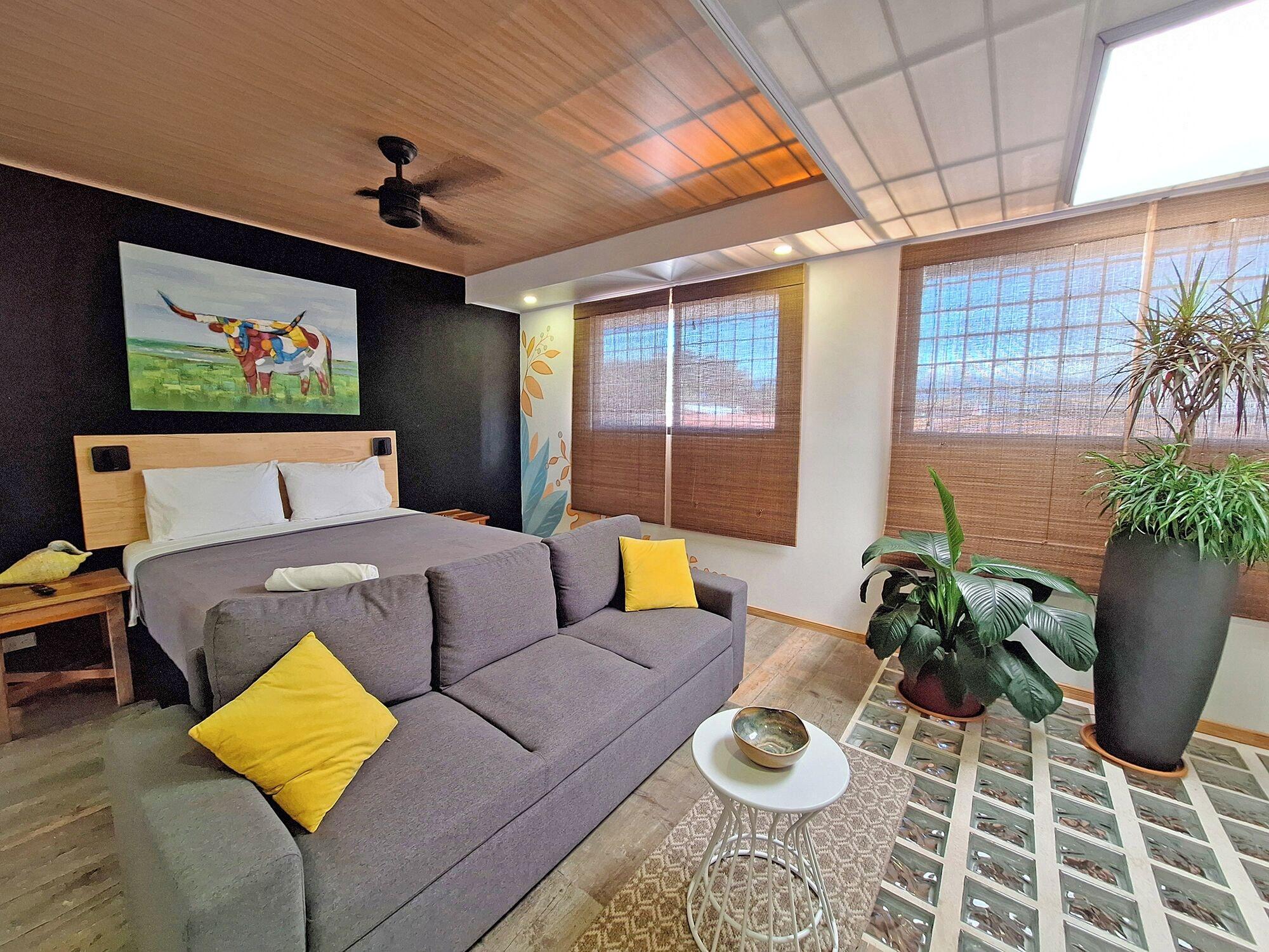 Varios Jungla Urbana BnB