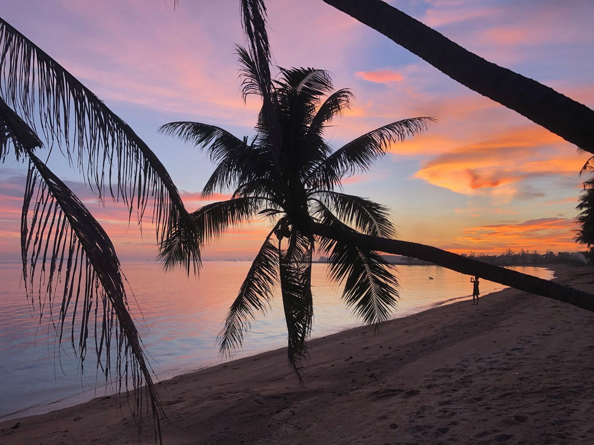 Playa Sand Terrace Beach Bungalows