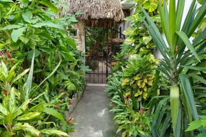 Los Mejores Hoteles en Puerto Morelos Todo Incluido