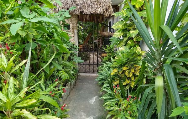 Casitas Kinsol - Hoteles pet friendly en Puerto Morelos, México