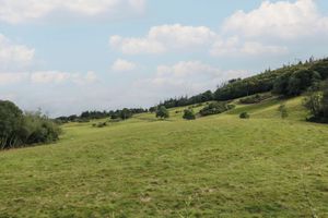 Alquiler Vacacional - The Old Brewery Store