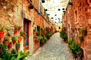 Actividad - Una visita matutina a Port Soller y Valldemosa