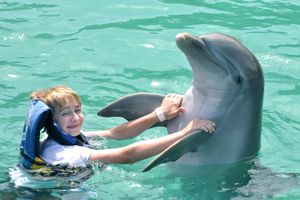 Actividad - Excursión Isla Mujeres y nado con delfines
