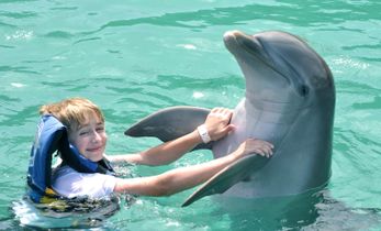 Isla Mujeres y nado con delfines