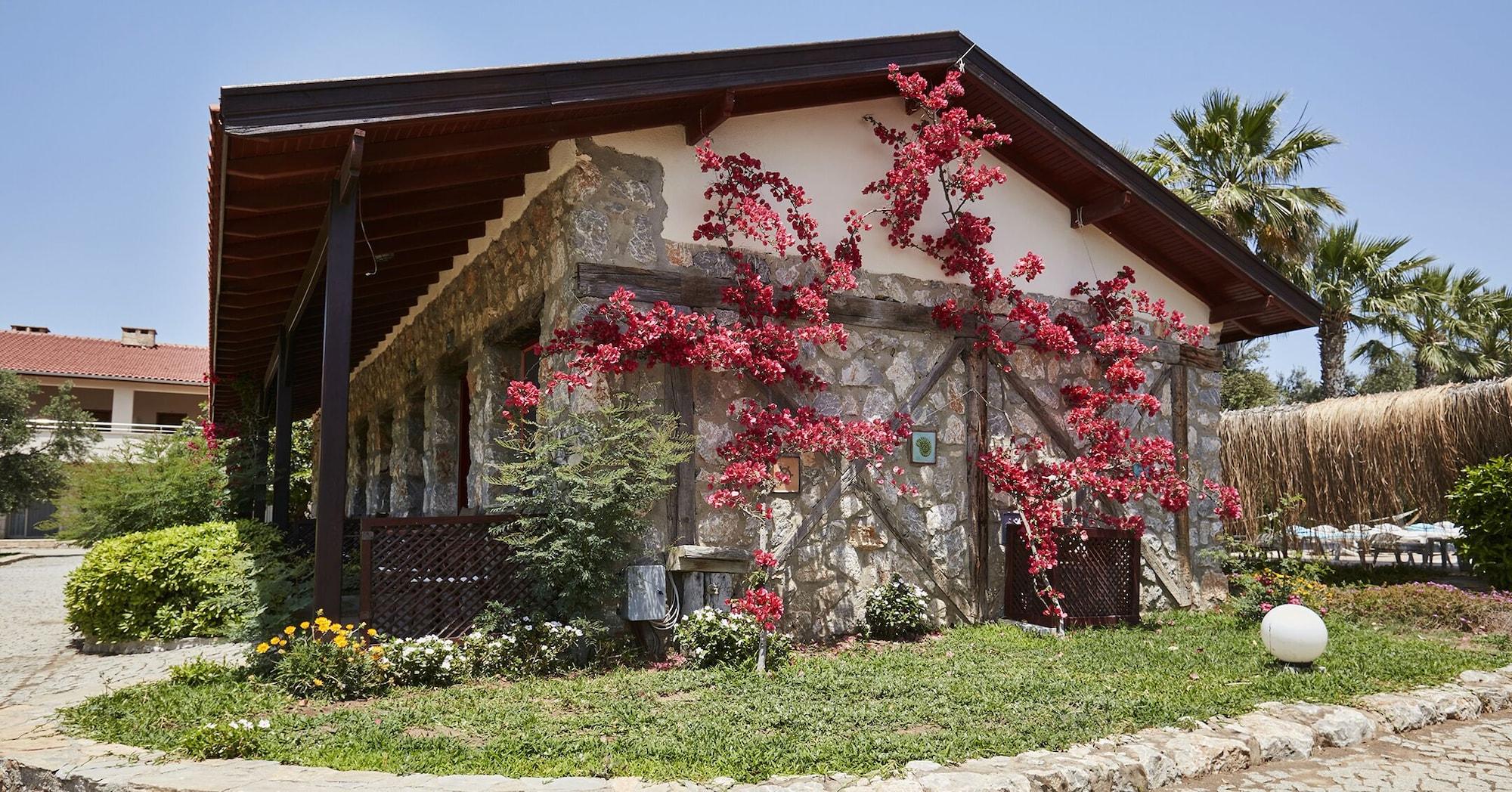 Habitación Flow Datca Surf & Beach Hotel
