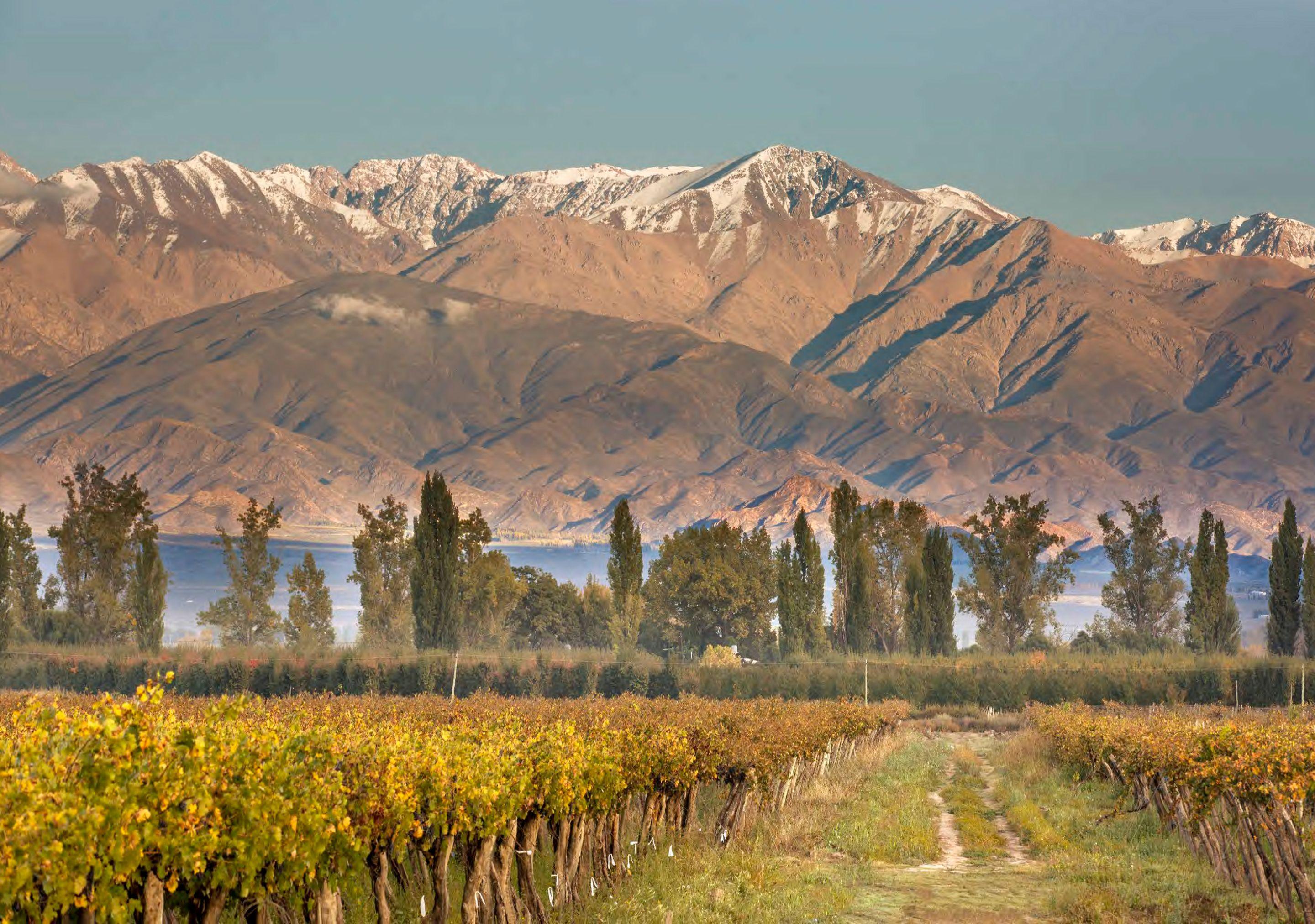 Vista Piscina Postales by DOT Boutique